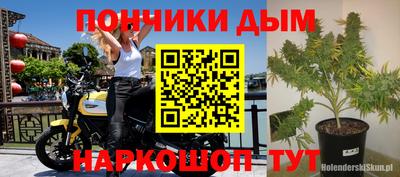 ПСИЛОЦИБИНОВЫЕ ГРИБЫ Заводоуковск